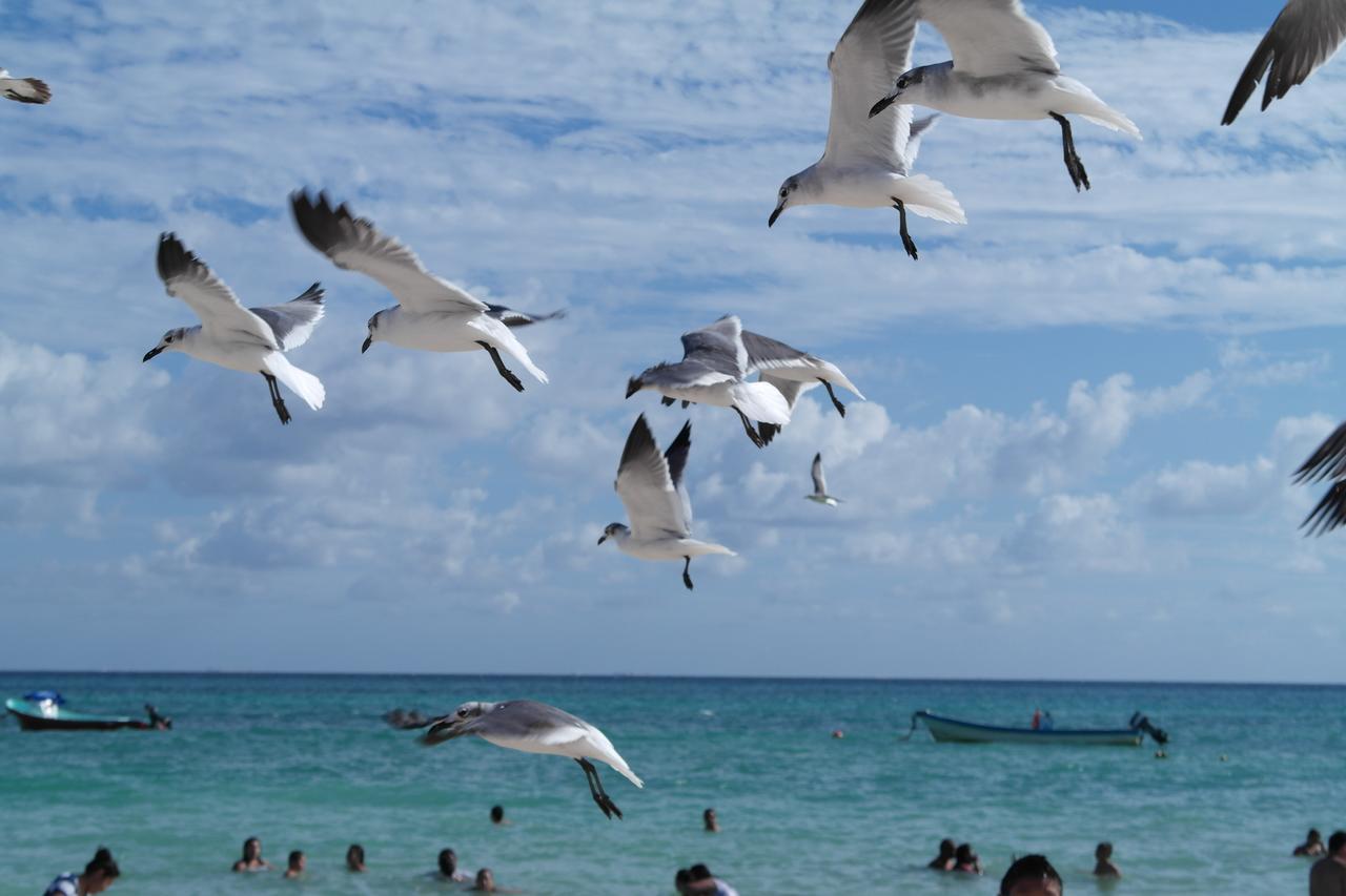 Casa Tucan Hotel Playa del Carmen Luaran gambar